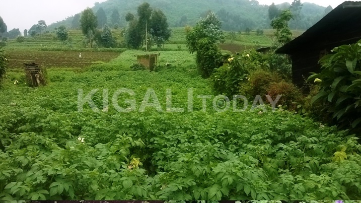 Abahinga ikirere kikagenda neza bavuga ko ubuhizi bw
