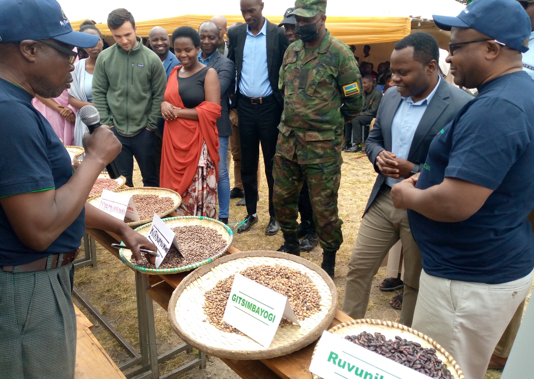 Abahinzi bamuritse amoko anyuranye y'ibihingwa bitabiriye guhinga mu buryo bw'umwimerere