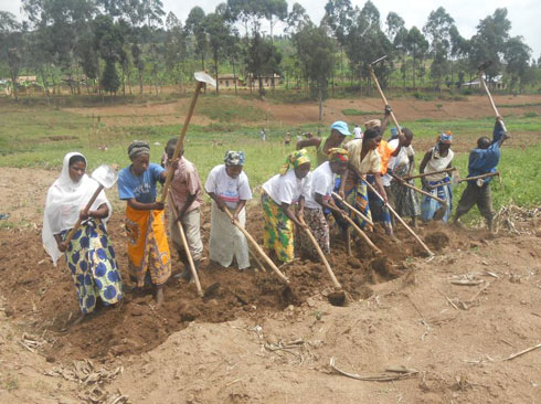 abahinzi ba kayumbu batangiye ihinga.