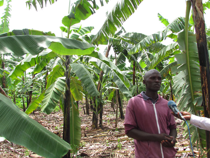Abahinzi babona ko kuba barahendwaga ku musaruro wabo byaraterwaga n'uko nta muhanda mwiza bari bafite.