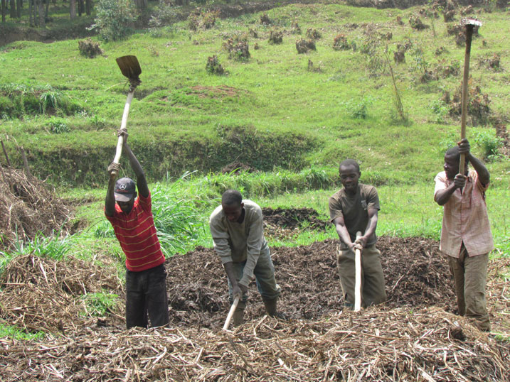 Abahinzi badafite ubushobozi bwo kugura ifumbire mvaruganda bifashisha iy