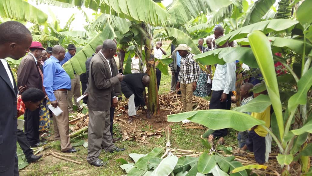 Bize uko bicira insina aho kuyirekeraho abana benshi