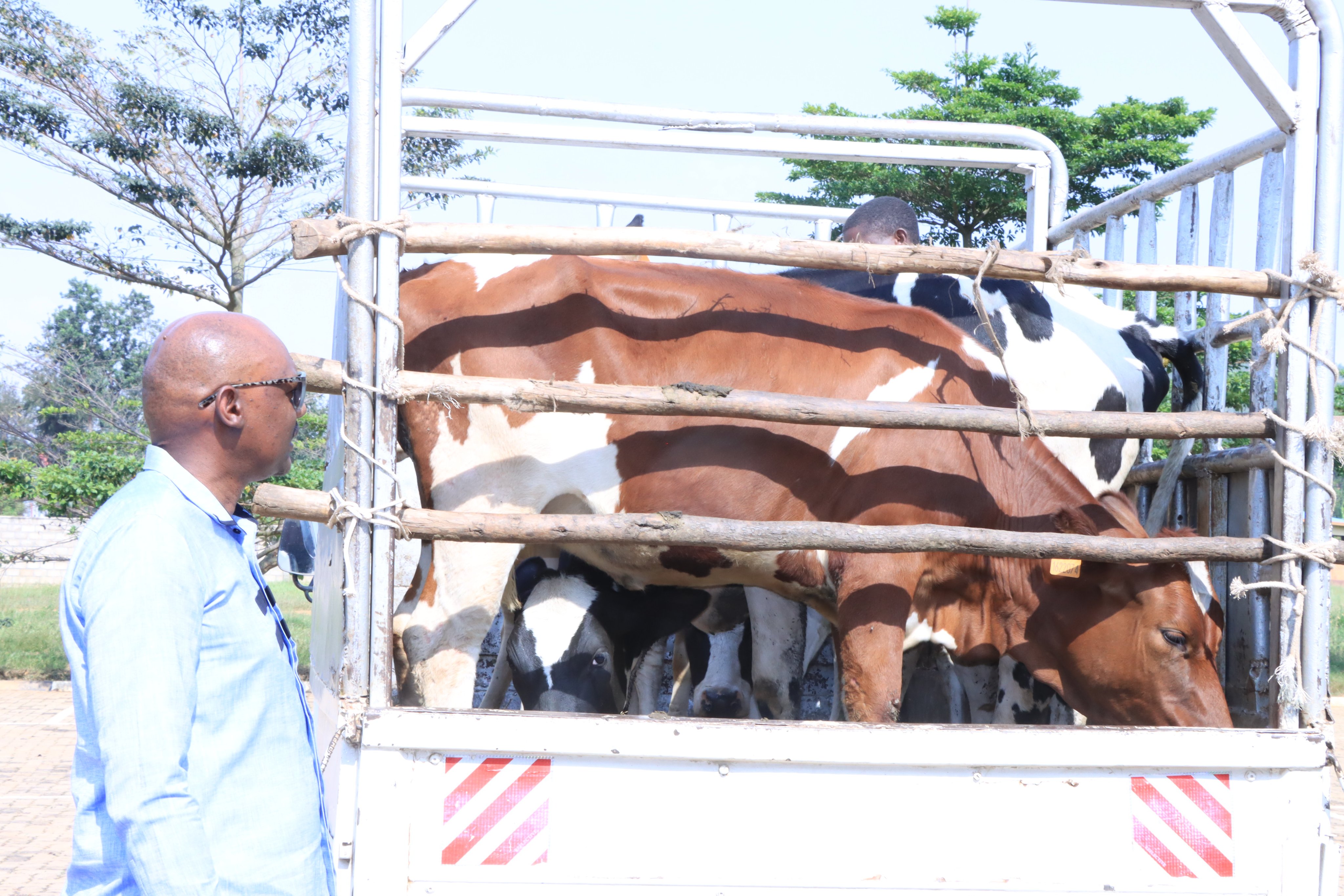 Abajyanama bagabiye abagore batandatu bayoboye ingo, babaha inka esheshatu zihaka, babasaba kuzitaho neza kugira ngo zizabagirire akamaro