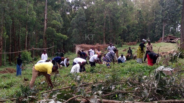 Abakozi ba INMR bateye ibiti by'imiti gakondo mu cyanya cy'ingoro y'Umurage y'i Huye.