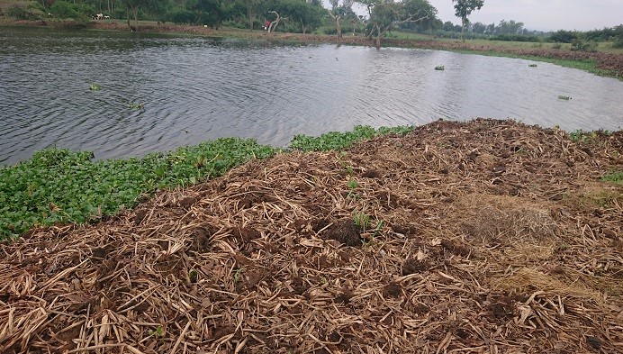 Abakuramo amarebe ngo basa n