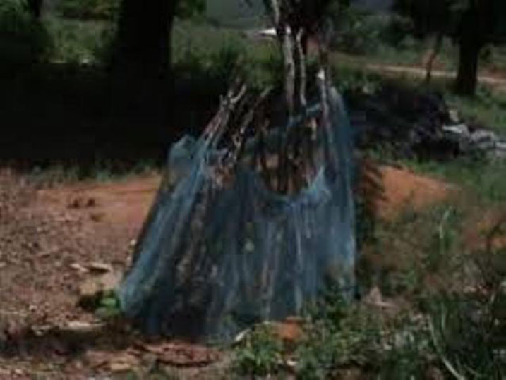 Hari abazubakisha ubwiherero.