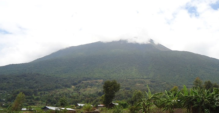 Abantu bagera muri 30 bafatiwe mu bikorwa byo kwangiza Pariki y