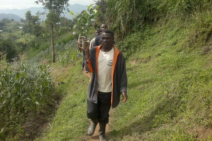 Abanyaburera bavuga ko bagomba gutera ibiti kuko bazi akamaro kabyo.