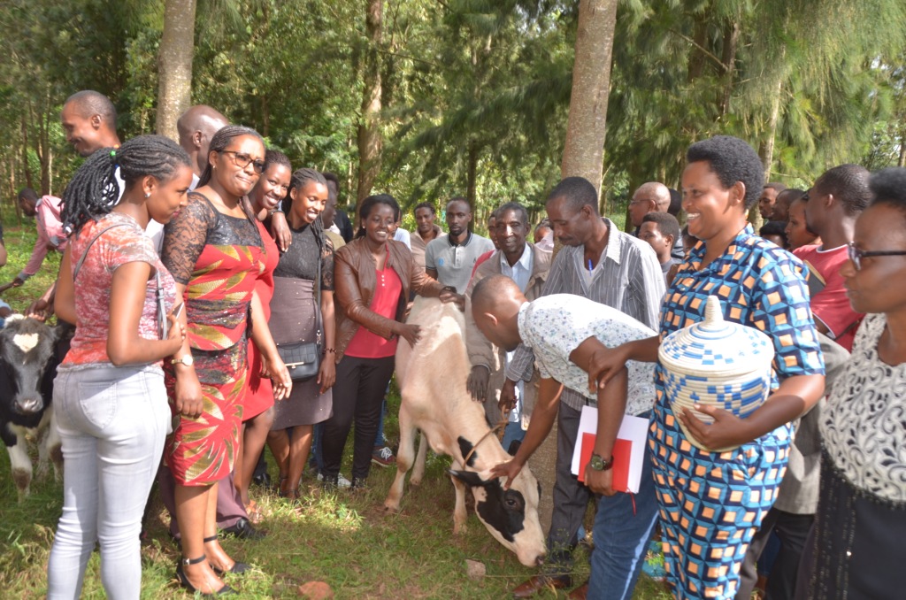 Abanyeshuri n'abayobozi bashyikirije inka abarokotse Jenoside batishoboye
