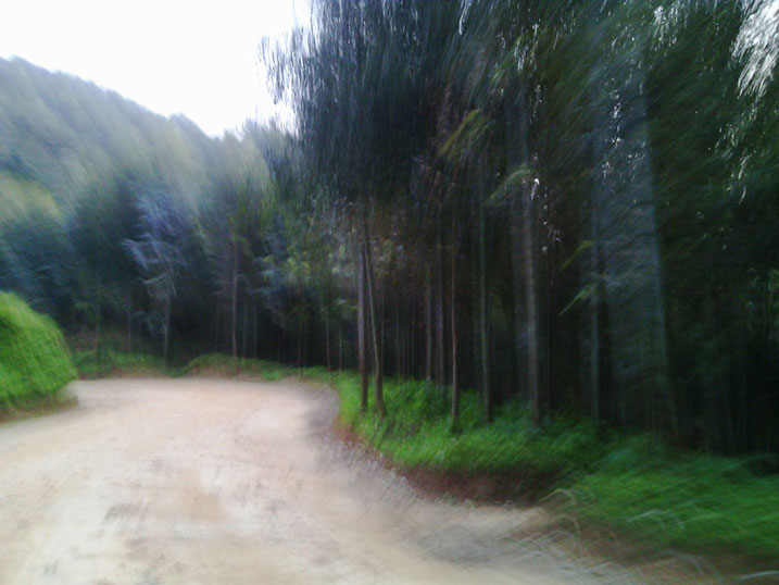 Abashumba bategeraga abagenzi mu muhanda uca muri Gishwati bakabambura utwabo.