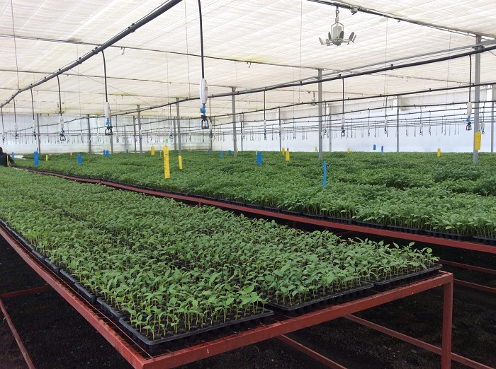 Ibi birayi byatubuwe mu buryo bw