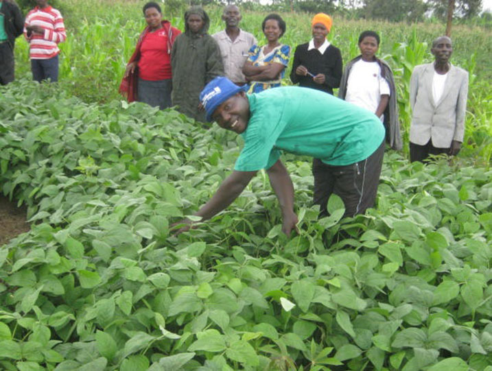 Abaturage biyemeje kwita ku gihingwa cya Soya kuko basanze kidasanzwe.
