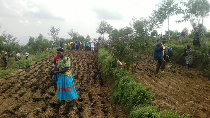 Abaturage bizezwa ko ingano bateye zizabona isoko mu nganda zitunganya ibikomoka ku ngano.