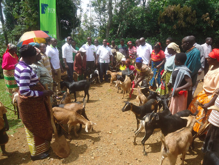 Abaturage bo ku Nkombo barishimira ihene bahawe na KCB.