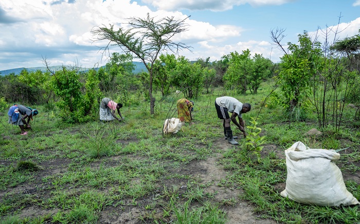 Abaturage bagiye kwahira nta kindi gikorwa bemerewe gukoreramo