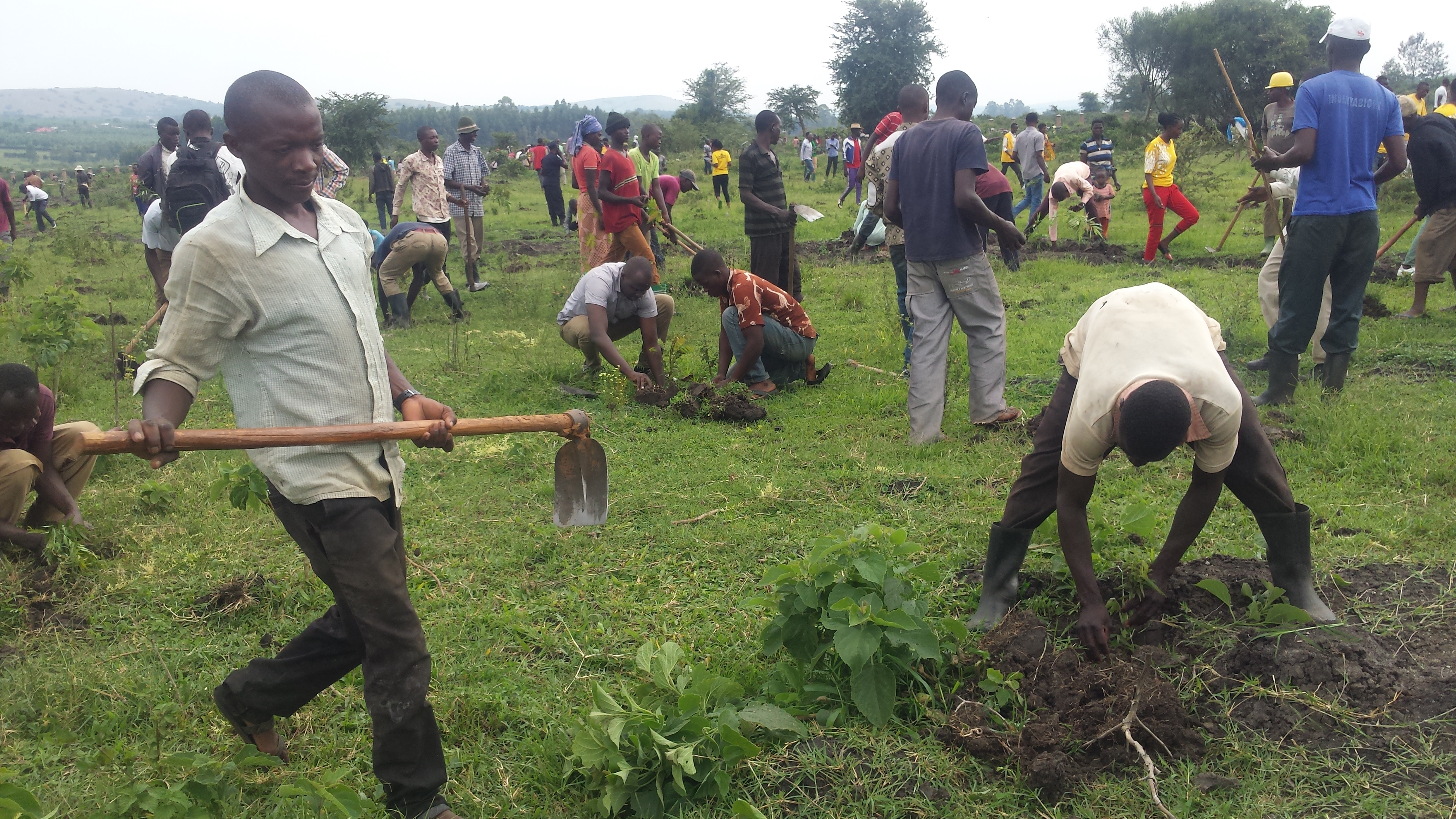Bakoze umuganda wo gutera ibiti