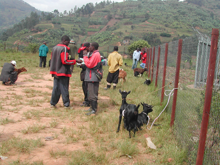 Abatuye mu karere ka Gakenke bavuga ko ubujura bw