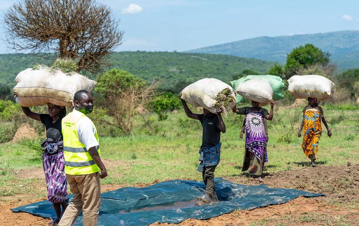 Abava kwahira bashyirweho aho banyura mu muti wica udukoko kugira ngo amatungo yabo adahura n'indwara