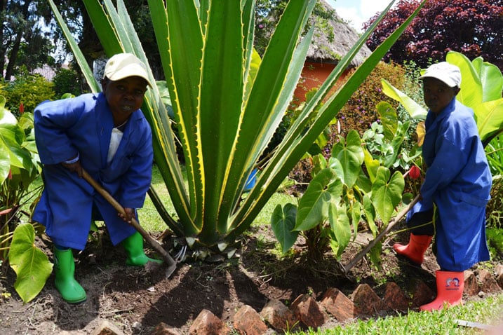 Sindikubwabo na Rudakubana mu minsi bari barabonye akazi ko gukora mu busitani ariko mukuru wabo we ngo ntiyabashaga akazi kubera izabukuru