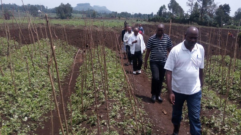 Abayobozi batandukanye mu Karere ka Rubavu basura imyaka yangijwe n