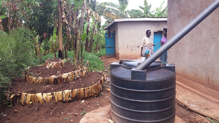 Bamwe bafite amazi yo kuvomera uturima twabo no mu bihe by'izuba