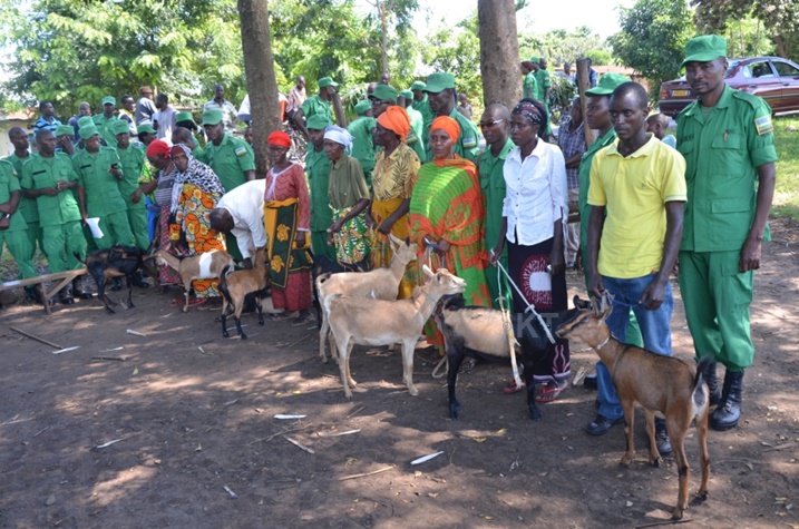 Aborojwe ihene n
