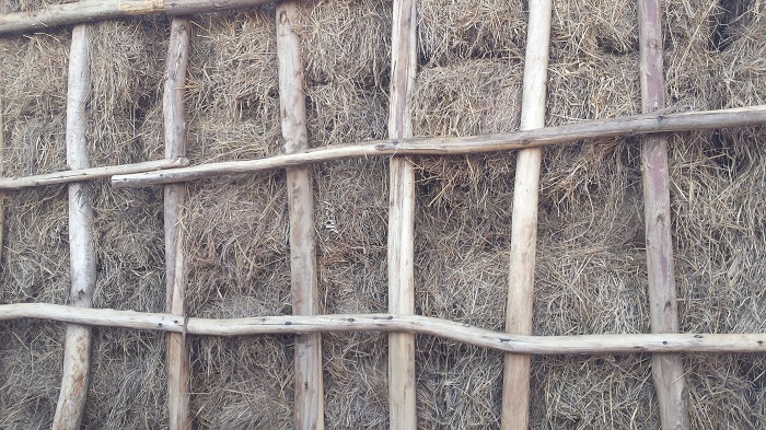 Aborozi bamenye guhinga ubwatsi baranabuhunika.