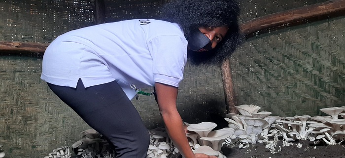 Adeline Umukunzi ari mubatejwe imbere n'ubuhinzi bw'ibihumyo
