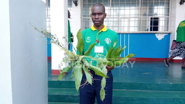 Abavuzi Gakondo bo mu Rwanda batangiye gushaka umuti wa COVID-19