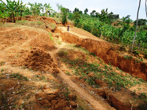 Ubutaka bwaraturitse ku buryo hacitsemo imikoki miremire.
