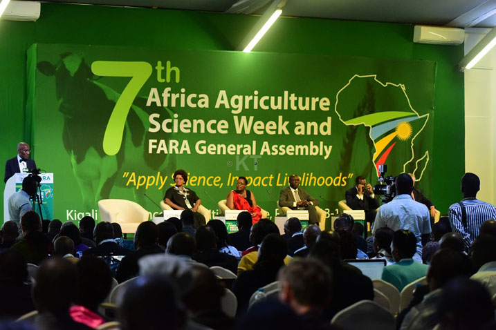 Aha bari mu biganiro bya FARA.