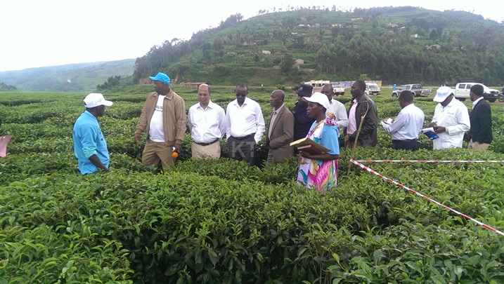 Abafashamyumvire bagize uruhare mu gufasha abahinzi b