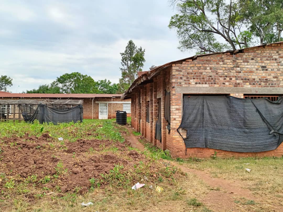 Ahigirwaga indimi muri Kaminuza hazwi cyane nka EPLM ni uku habaye