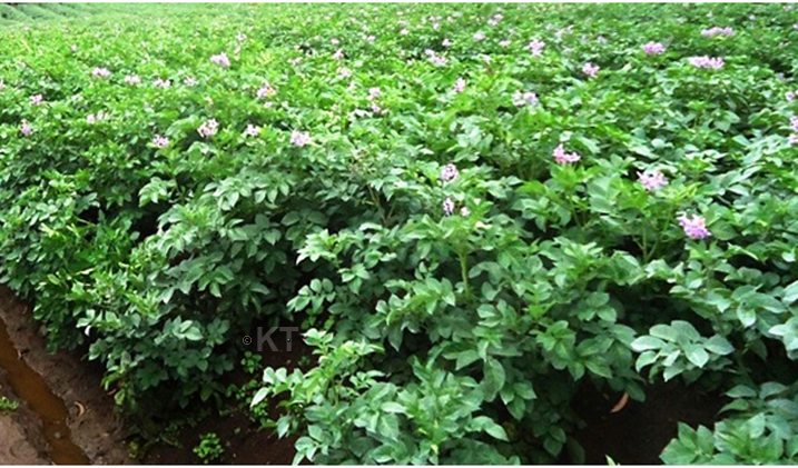 Ahafumbiwe hera mu buryo bushimishije