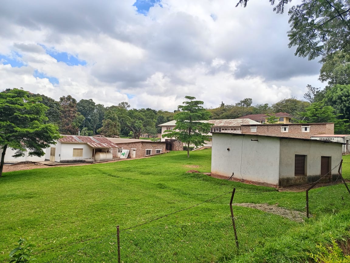 Ahahoze hakorerwa imiti hazwi nka Labophar mu karere ka Huye ni uku hasigaye hameze