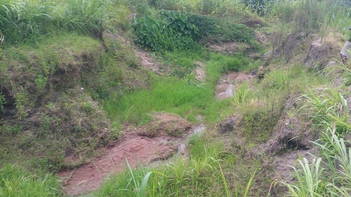 Ahangaha hahoze umurima wahingwagamo inyanya n'indi myaka