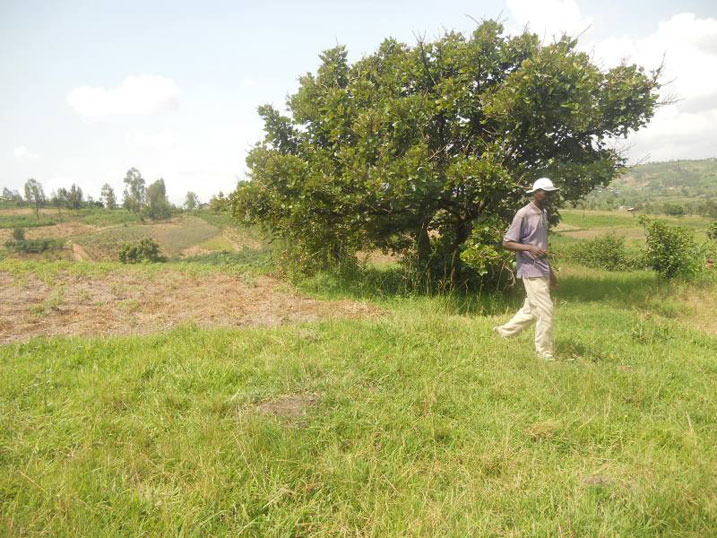 Ahari hatuye umuryango wa Fred Rwigema mbere y'uko uhungira muri Uganda mu 1959.