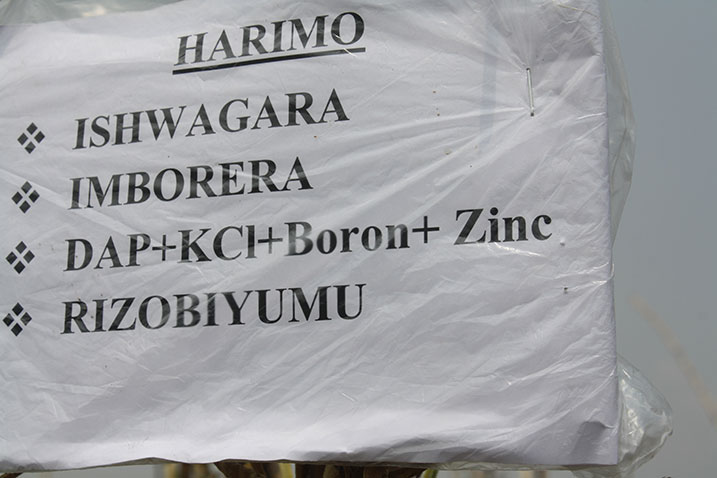 Aho batangiye kugira iyi mirima bandika ku byapa inyongeramusaruro bakoresheje.