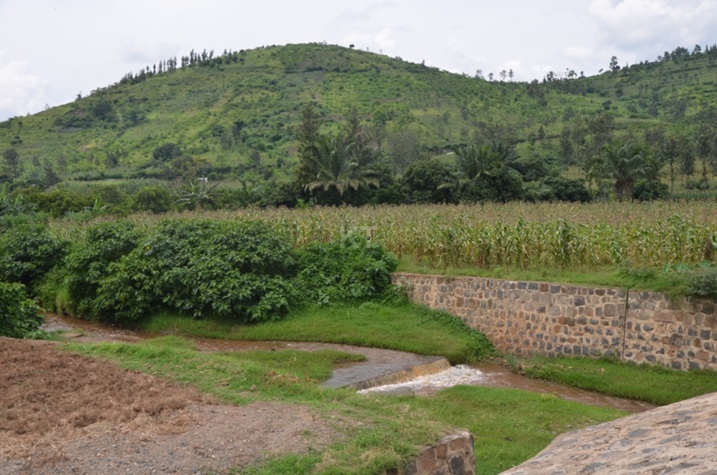 Aho bari batuye habyajwe umusaruro.