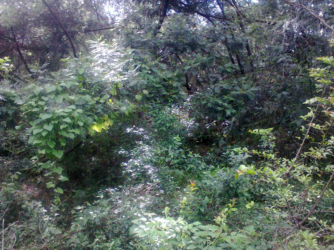 Aho Nyagakecuru yari atuye habaye ibigunda