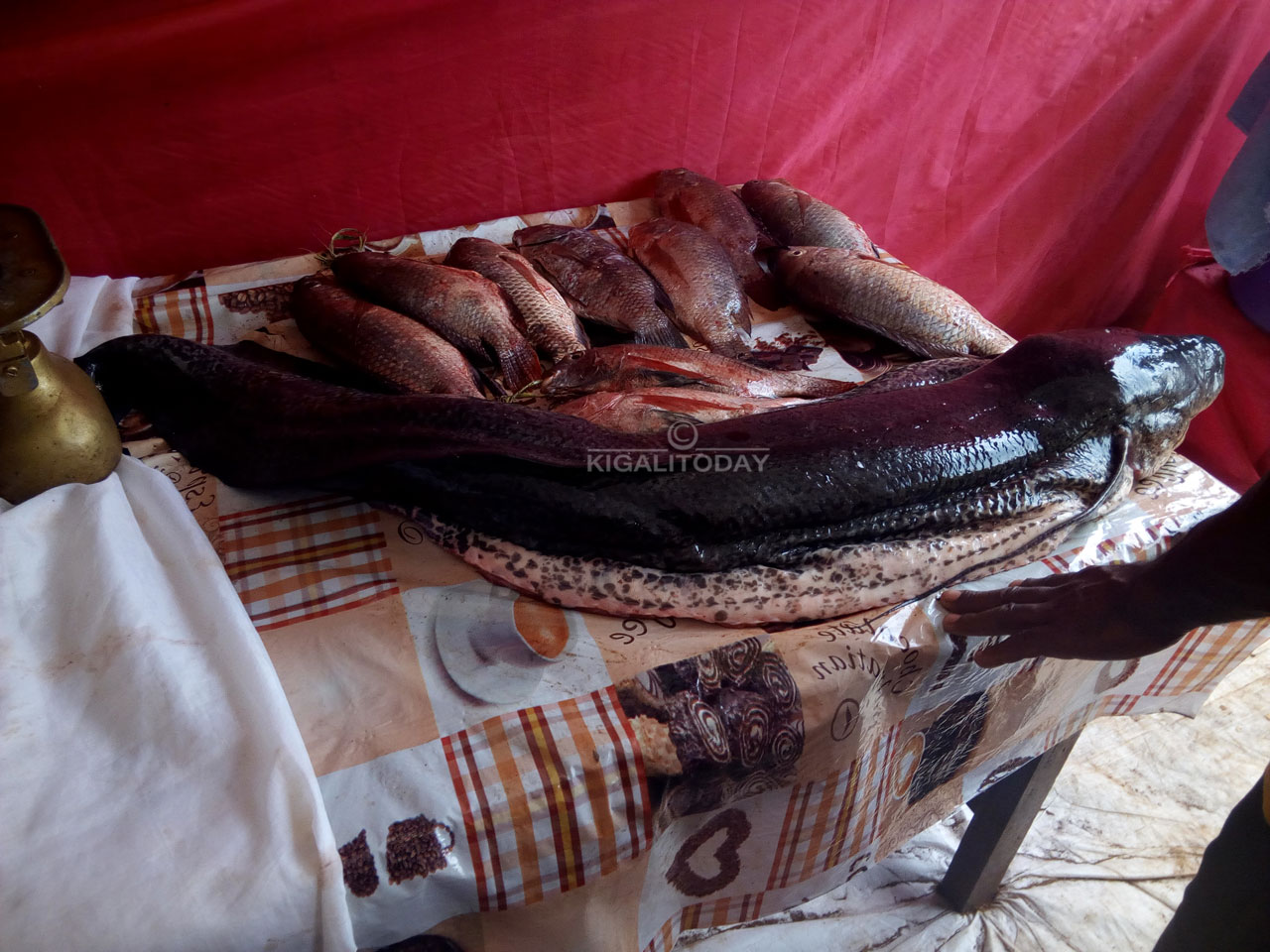 Amafi ya Tirapiya akunze kuba mato akundwa n'Abanyarwanda benshi