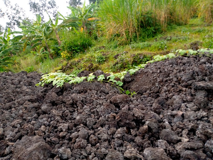 Amahindure yatwitse ibyo yasanze mu nzira