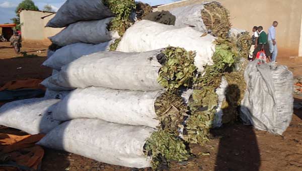 Hari benshi basubiye ku gukoresha amakara kuko gaz yahenze cyane