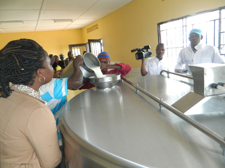 Amata akusanyirizwa mu itanka mbere yo kujyanywa i kigali.