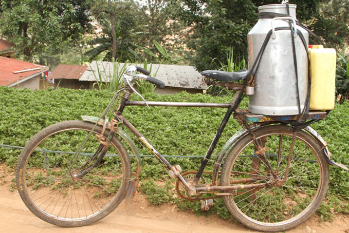 Abacuruza amata batayanyujije mu makusanyirizo ngo apimwe batesha agaciro amata yo mu makusanyirizo.