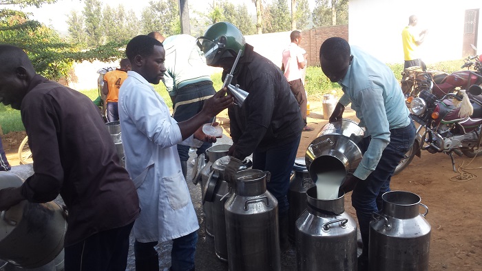 Amata abanza gupimwa kugira ngo harebwe ubuziranenge bwayo.