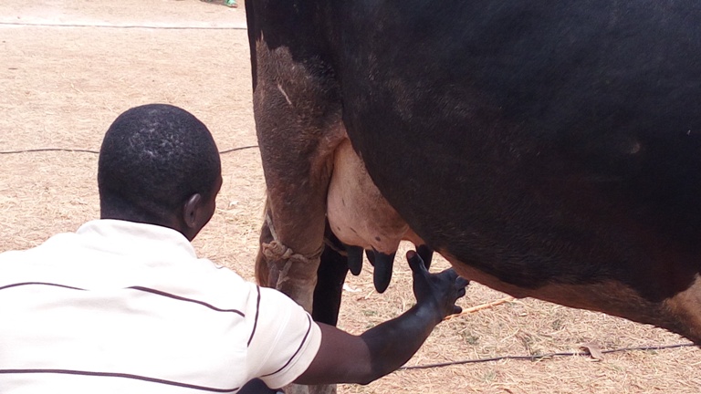 Kubura aho berekerana amata byavugutiwe umuti w