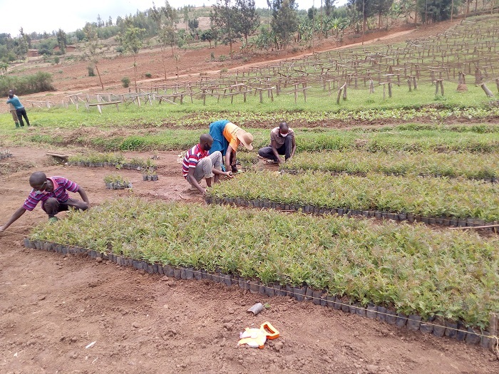 Umushinga w'Amayaga uzaha akazi abaturage bagera ku bihumbi 150