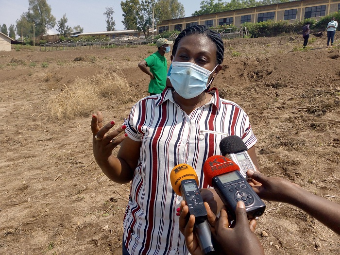 Kayitesi Alice, Guverineri w'Intara y'Amajyepfo