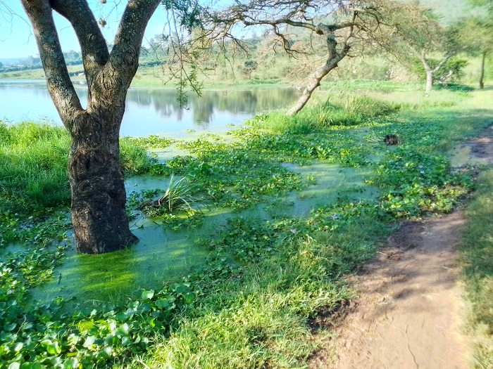 Amazi yamaze kugera ku mucungiro ku buryo hari impungenge ko yawurenga akangiza byinshi 